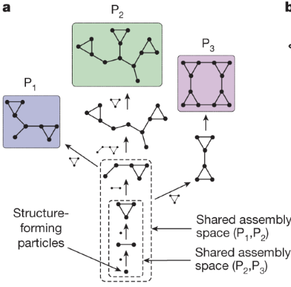 Building blocks of complexity